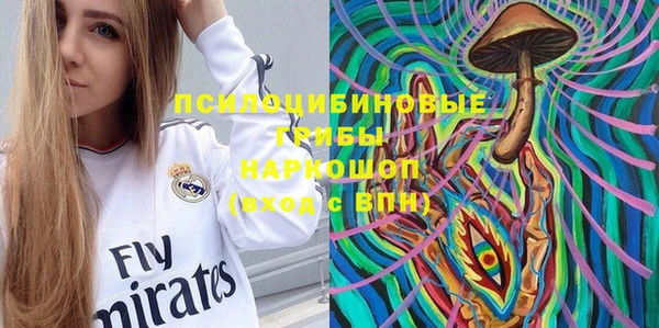 2c-b Михайловка
