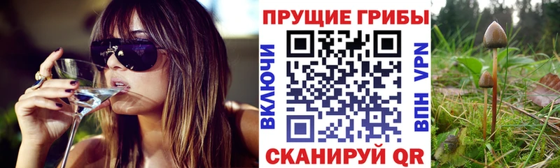 Псилоцибиновые грибы прущие грибы  Купить где  Дубовка 
