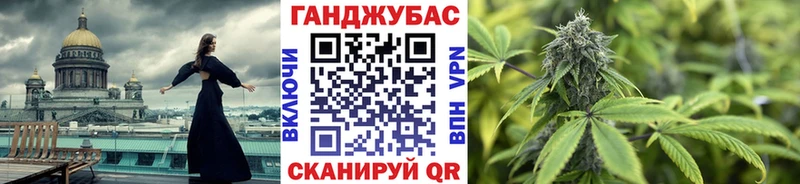 Бошки марихуана план  Купить  Дубовка 